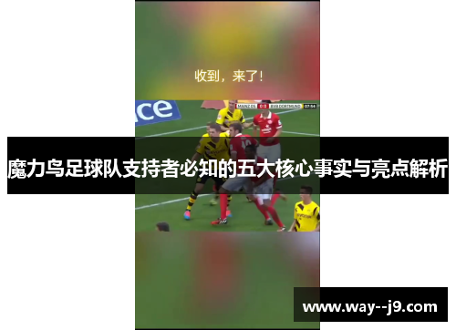 魔力鸟足球队支持者必知的五大核心事实与亮点解析