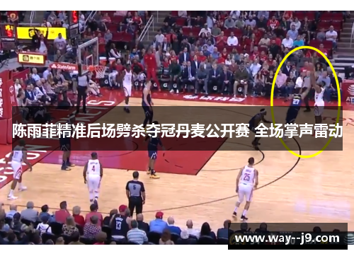 陈雨菲精准后场劈杀夺冠丹麦公开赛 全场掌声雷动