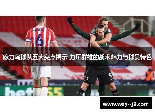 魔力鸟球队五大亮点揭示 力压群雄的战术魅力与球员特色